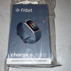 fitbit charge 5 platinum steel and blue band
